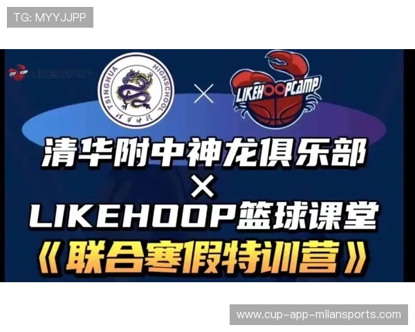2026年篮球联赛青训营长期合作伙伴名单公布，青年篮球协会